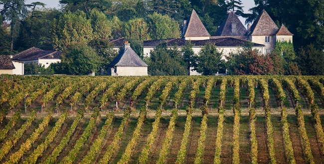 Château Carbonnieux, un grand cru de Graves